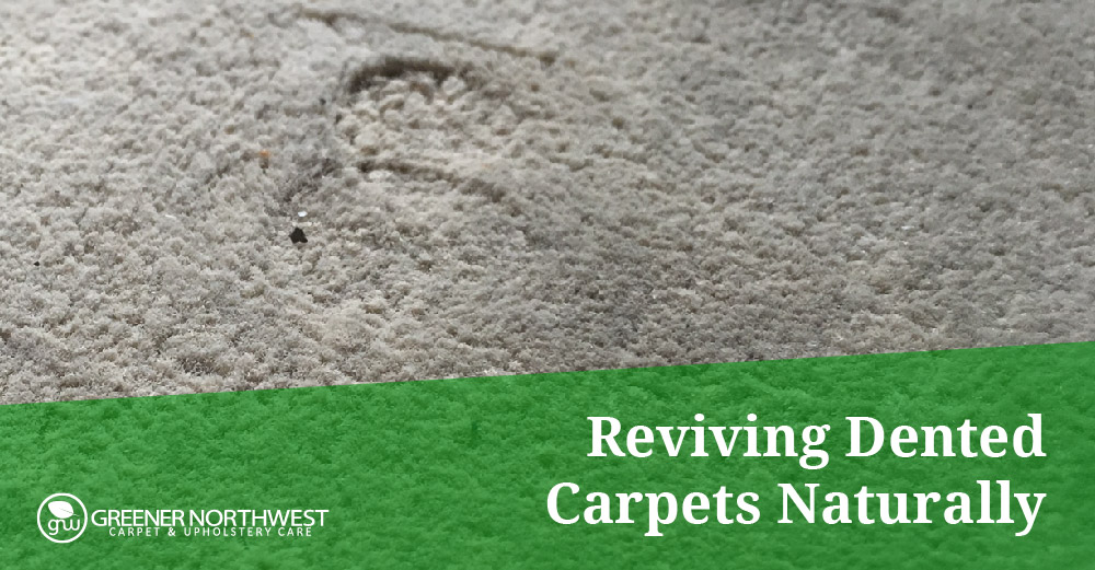 Revive Your Dented Carpet or Rug Quickly and Easily