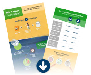 natural-carpet-deorderizer-diy-infographics-01