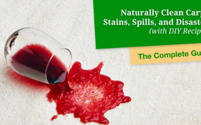Clean Carpet Stains, Spills, and Disasters Naturally (with Recipes)
