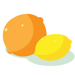 Lemon or Orange essential oil